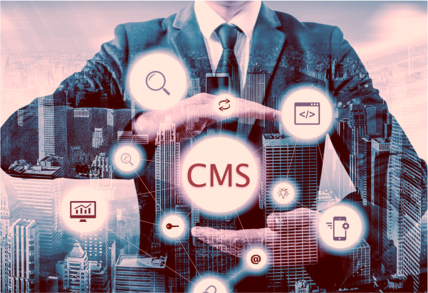 digital signage content management software